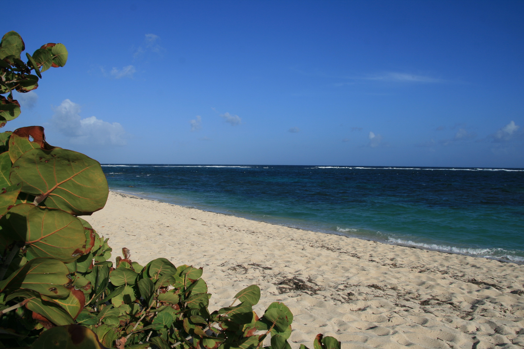 La plage du Cap Macré