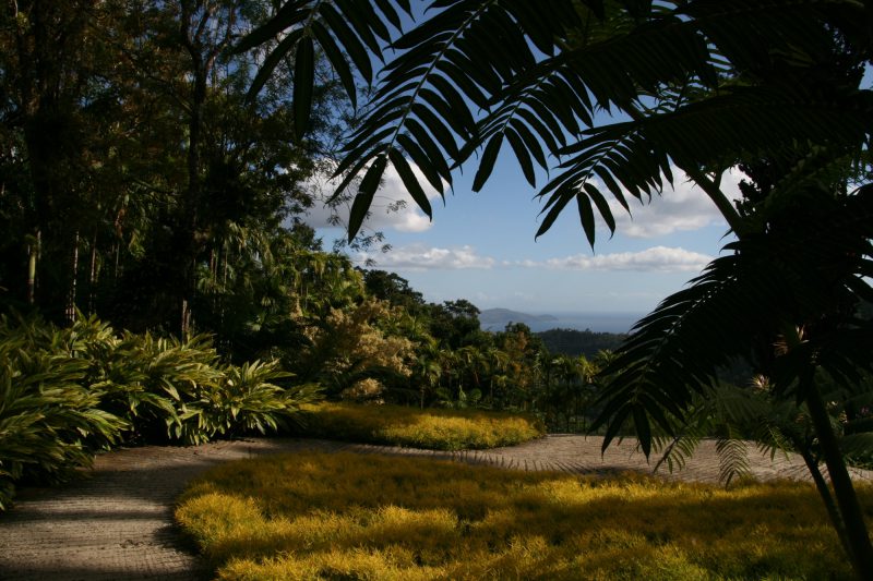 Le jardin de Balata